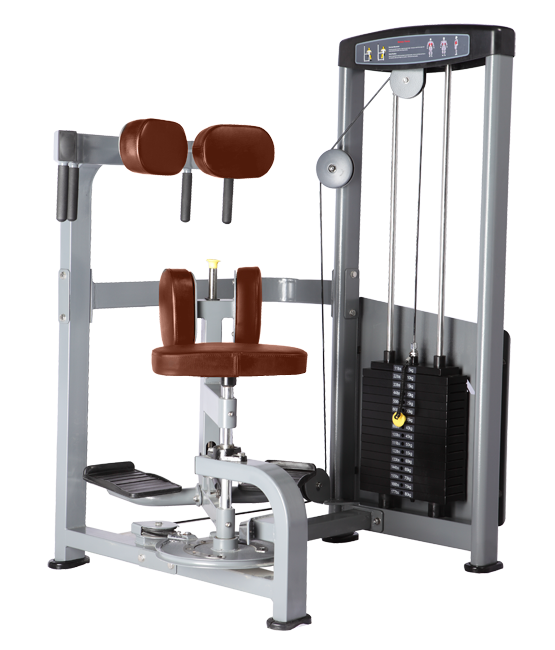 Торс-машина bronze gym d-011 — изображение 2