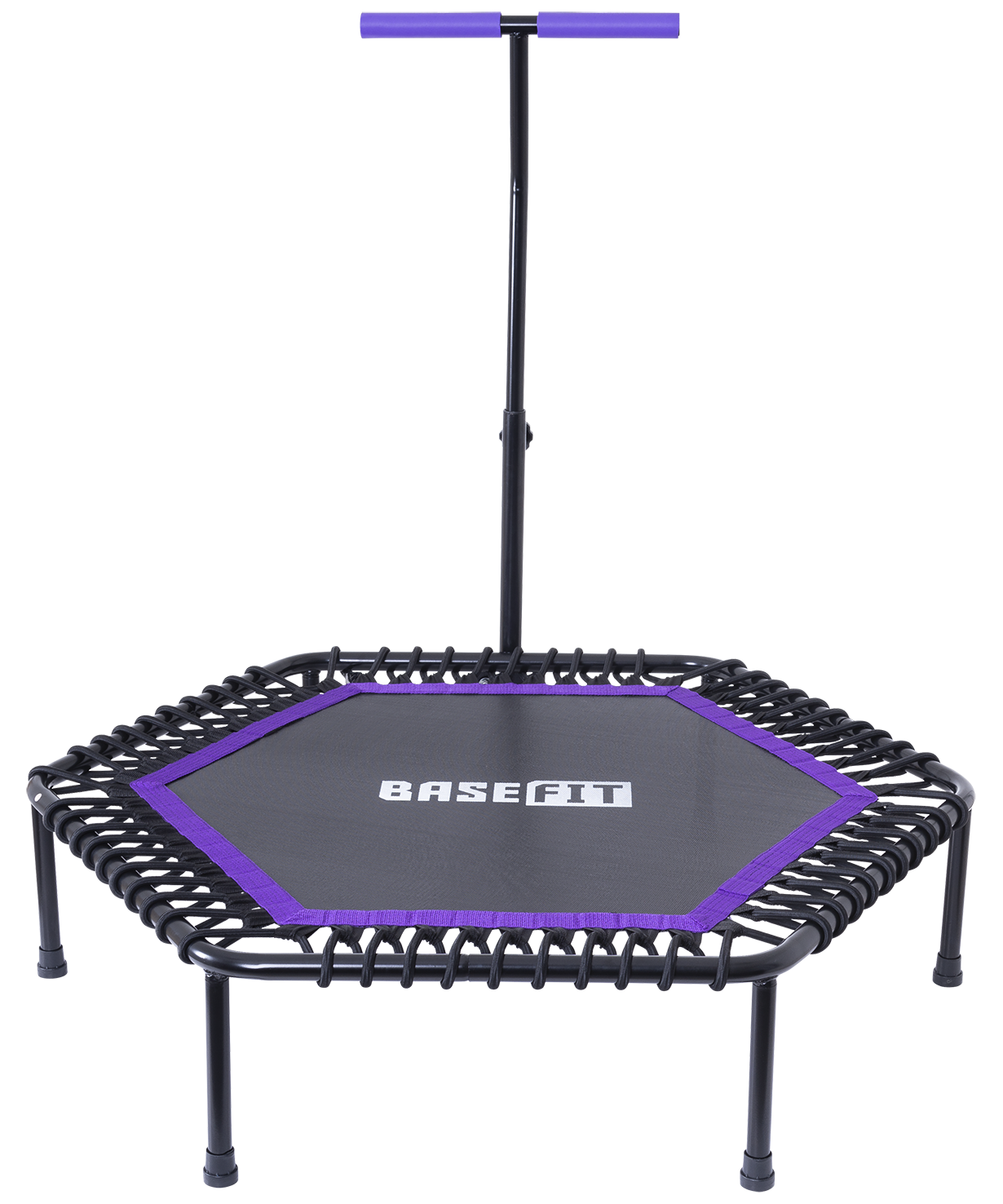 Батут TR-401 101 см с держателем, фиолетовый BASEFIT