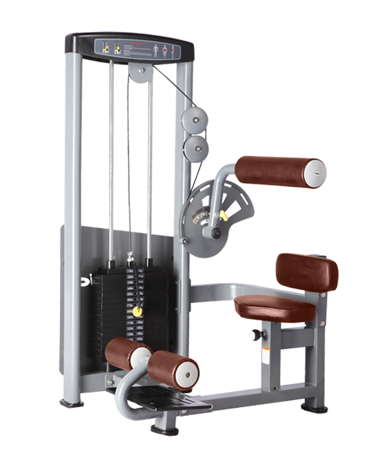 Пресс-машина bronze gym d-010 — изображение 2