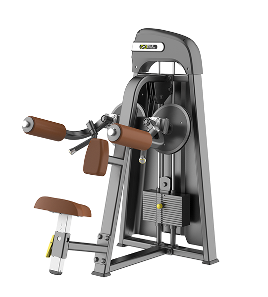 E-3005 Дельт-машина (Lateral Raise). Стек 56 кг. — изображение 2