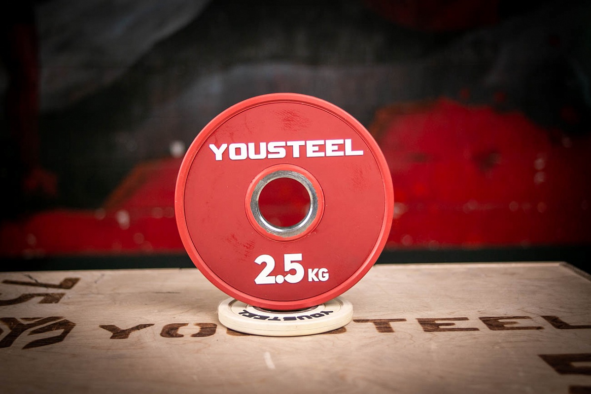 Диск тренировочный малый цветной 2,5 кг YOUSTEEL