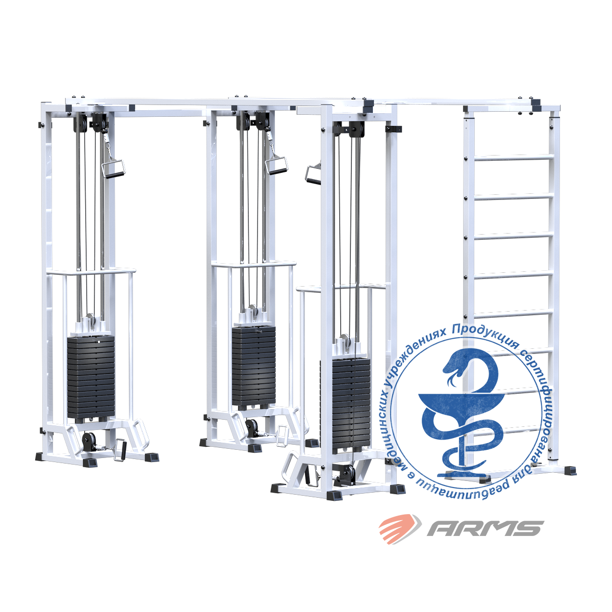 Биотонус-3+шведская стенка (стек 3х75кг) AR087.3х2400