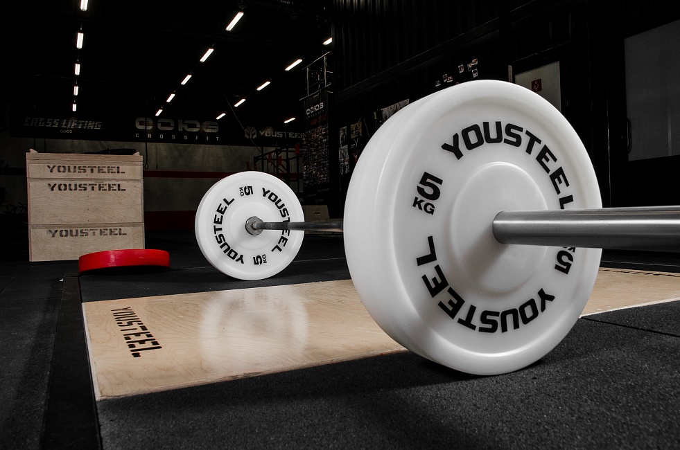 Диск технический пластиковый 2,5 кг YOUSTEEL — изображение 3
