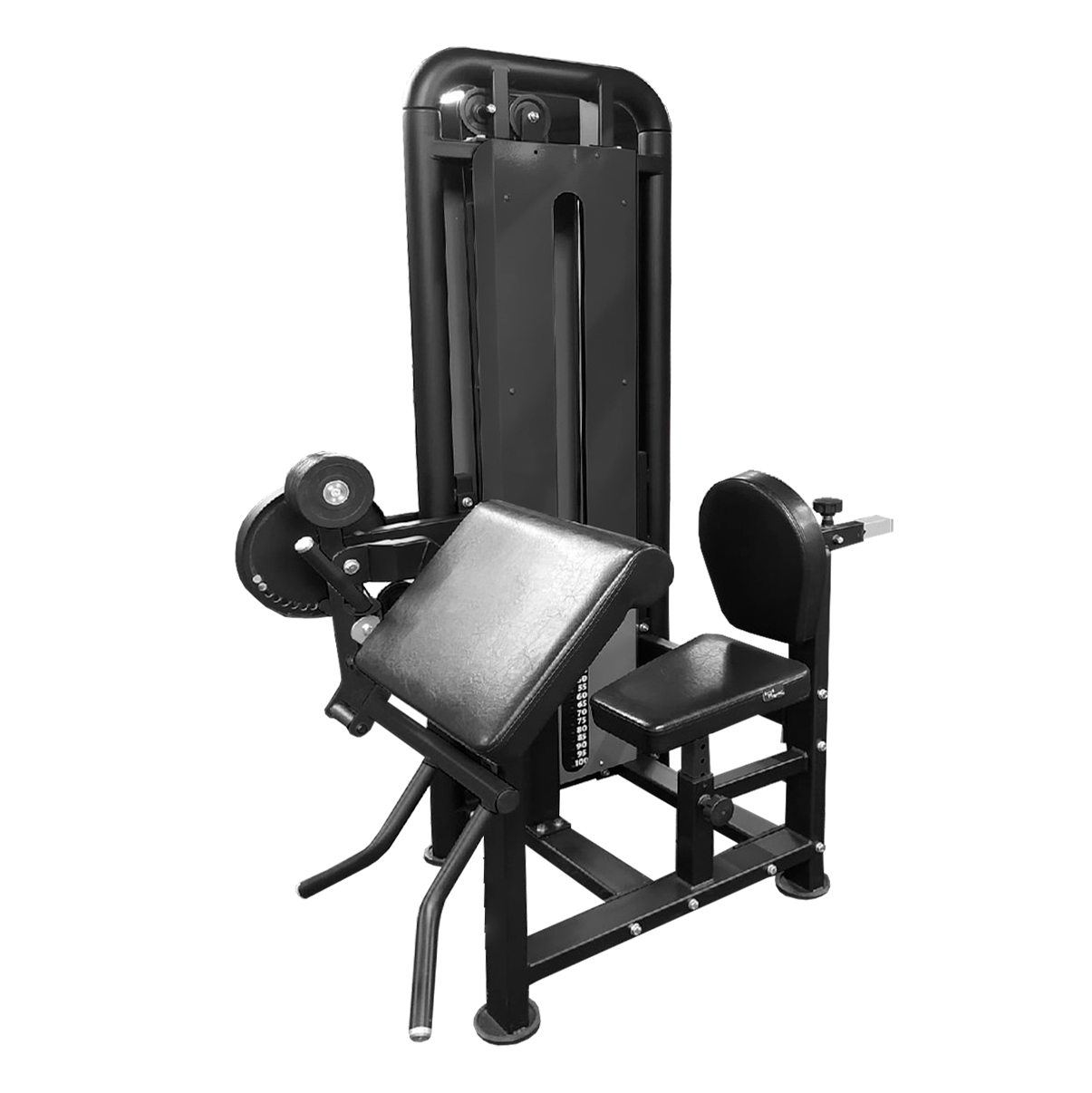 Бицепс-Трицепс сидя профессиональный BRONZE GYM PARTNER ML-709
