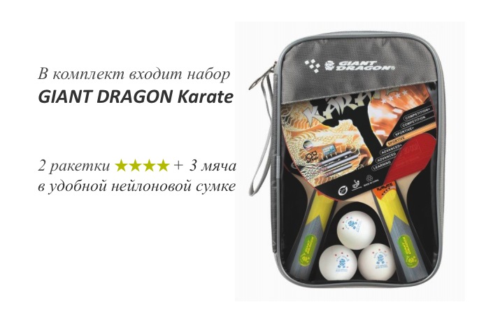 ТЕННИСНЫЙ СТОЛ giant dragon 907b — изображение 2